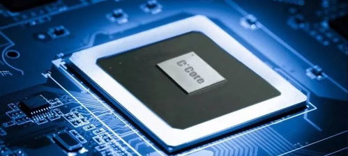 周乃翔專題調研高新區民營企業 勉勵企業家深耕計算機軟硬件開發，激發創新活力